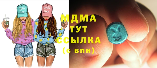 хмурый Дмитров