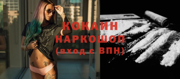 меф Ельня