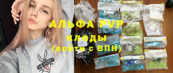 МДПВ Дмитриев