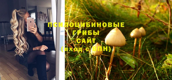 дурь Елизово