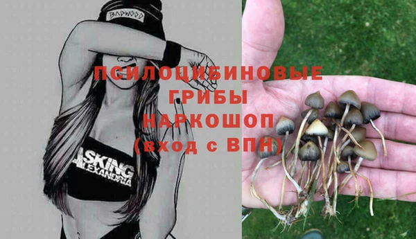МДПВ Дмитриев