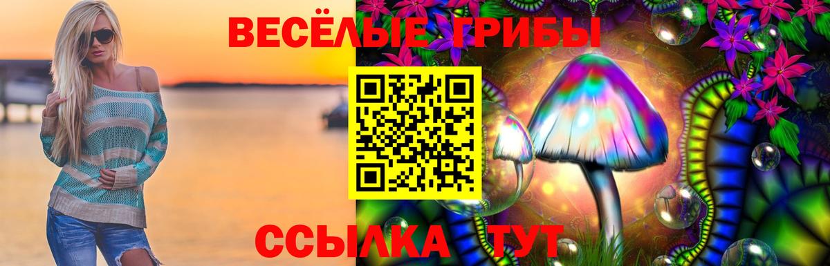Среднеуральск  Галлюциногенные грибы ЛСД  Вход с VPN  наркотики  Псилоцибиновые грибы Psilocybine cubensis 